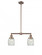 Colton - 2 Light - 22 inch - Antique Copper - Stem Hung - Adjustable Island Light (3442|209-AC-G302-LED)