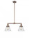 Cone - 2 Light - 21 inch - Antique Copper - Stem Hung - Adjustable Island Light (3442|209-AC-G44)