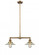 Halophane - 2 Light - 21 inch - Brushed Brass - Stem Hung - Adjustable Island Light (3442|209-BB-G2)