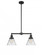Cone - 2 Light - 21 inch - Matte Black - Stem Hung - Adjustable Island Light (3442|209-BK-G42-LED)