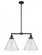 Cone - 2 Light - 21 inch - Matte Black - Stem Hung - Adjustable Island Light (3442|209-BK-G44-L)