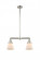 Cone - 2 Light - 21 inch - Polished Nickel - Stem Hung - Adjustable Island Light (3442|209-PN-G61)