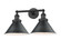 Briarcliff - 2 Light - 19 inch - Matte Black - Adjustable Bath Vanity Light (3442|208-BK-M10-BK)