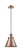 Appalachian - 1 Light - 8 inch - Antique Copper - Cord hung - Mini Pendant (3442|201C-AC-M13-AC-LED)