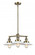 Halophane - 3 Light - 22 inch - Antique Brass - Stem Hung - Chandelier (3442|207-AB-G1)