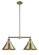 Briarcliff - 2 Light - 21 inch - Antique Brass - Stem Hung - Adjustable Island Light (3442|209-AB-M10-AB-LED)