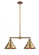 Briarcliff - 2 Light - 21 inch - Brushed Brass - Stem Hung - Adjustable Island Light (3442|209-BB-M10-BB)