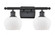 Fenton - 2 Light - 17 inch - Matte Black - Bath Vanity Light (3442|516-2W-BK-G91)