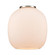 Belfast - 6 inch - Cased Matte White Glass (3442|G101)