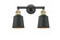 Addison - 2 Light - 16 inch - Black Antique Brass - Adjustable Bath Vanity Light (3442|208-BAB-M9-BK-LED)