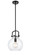 Newton Sphere - 1 Light - 10 inch - Matte Black - Stem Hung - Mini Pendant (3442|410-1S-BK-10CL)