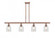 Caledonia - 4 Light - 48 inch - Antique Copper - Stem hung - Island Light (3442|516-4I-AC-G259-LED)