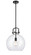 Newton Sphere - 1 Light - 14 inch - Matte Black - Stem hung - Pendant (3442|410-1S-BK-14CL)