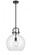 Newton Sphere - 1 Light - 14 inch - Matte Black - Cord hung - Pendant (3442|410-1S-BK-14CL-LED)
