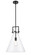Newton Cone - 1 Light - 14 inch - Matte Black - Stem hung - Pendant (3442|411-1S-BK-14CL-LED)