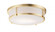 Rogue E26-Flush Mount (19|10270WTSBR)