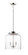 Acadia-Multi-Light Pendant (19|12273CDSN)