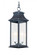 Vicksburg-Outdoor Hanging Lantern (19|30029CLBK)