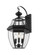 3 Light Outdoor Wall Light (276|580B-BK)