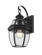 1 Light Outdoor Wall Light (276|580S-BK)