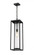 1 Light Outdoor Chain Mount Ceiling Fixture (276|584CHB-BK)