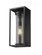 1 Light Outdoor Wall Light (276|584M-BK)