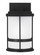 Wilburn modern 1-light outdoor exterior Dark Sky compliant small wall lantern sconce in black finish (38|8590901D-12)