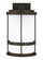 Wilburn modern 1-light outdoor exterior Dark Sky compliant medium wall lantern sconce in antique bro (38|8690901D-71)