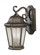 Martinsville traditional 2-light LED outdoor exterior medium wall lantern sconce in corinthian bronz (38|OL5901EN/CB)