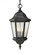 Martinsville traditional 3-light LED outdoor exterior pendant lantern in black finish with clear see (38|OL5911EN/BK)