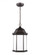 Sevier One Light Outdoor Pendant (38|6238751-71)