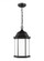 Sevier traditional 1-light LED outdoor exterior ceiling hanging pendant in black finish with satin e (38|6238751EN3-12)