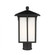 Tomek modern 1-light outdoor exterior post lantern in black finish with etched white glass panels (38|8252701-12)