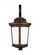 Eddington modern 1-light outdoor exterior medium wall lantern sconce in antique bronze finish with c (38|8619301-71)