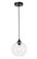 Cashel 1 Light Black and Clear Glass Pendant (758|LD2281)