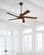 Aspen 56'' Ceiling Fan (6|5ASPR56AGP)