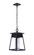 Becca 1 Light Large Outdoor Pendant in Textured Black (20|ZA2721-TB)