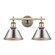 Yep by Golden Lighting Orwell 2-light Vanity in Aged Brass and Pewter shade (36|3306-BA2 AB-PW)