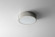 PEEPERS 10'' UV - PN (476|32-601-20)