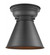Appalachian - 1 Light - 8 inch - Matte Black - Flush Mount (3442|623-1F-BK-M13-BK)
