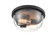 Ashford 2-Light Flushmount Ceiling - Matte Black (670|9712-MB)
