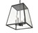 Grant 4-Light Outdoor Hanging Lantern Powder Coated Black (670|8014-PBK)