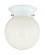 1-Light Ceiling Light in White (128|6-904-5-WHT)