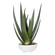 Uttermost Evarado Aloe Planter (85|60177)