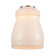 Ellery - 5 inch - Cased Matte White Glass (3442|G391)