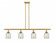 Caledonia - 4 Light - 48 inch - Satin Gold - Stem hung - Island Light (3442|516-4I-SG-G259)
