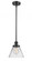 Cone - 1 Light - 8 inch - Matte Black - Mini Pendant (3442|916-1S-BK-G42)