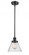 Cone - 1 Light - 8 inch - Matte Black - Mini Pendant (3442|916-1S-BK-G44-LED)