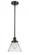 Cone - 1 Light - 8 inch - Oil Rubbed Bronze - Mini Pendant (3442|916-1S-OB-G42-LED)