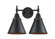 Appalachian - 2 Light - 17 inch - Matte Black - Bath Vanity Light (3442|447-2W-BK-M13-BK-LED)